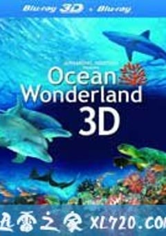 海洋仙境 Ocean Wonderland (2003) [迅雷BT磁力免费下载]