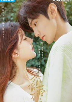 2023年国产大陆电视剧《偷偷藏不住》全25集 [迅雷BT磁力免费下载]