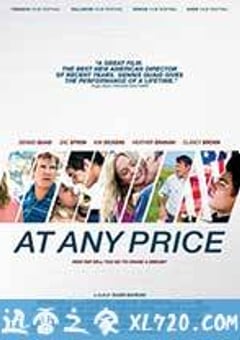 不惜一切 At Any Price (2012) [迅雷BT磁力免费下载]