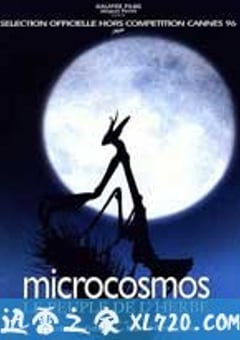 微观世界 Microcosmos: Le peuple de l’herbe (1996) [迅雷BT磁力免费下载]