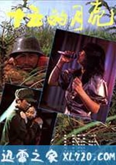 十五的月亮 (1986) [迅雷BT磁力免费下载]