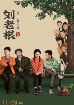 2022年国产大陆电视剧《刘老根5》全40集 [迅雷BT磁力免费下载]