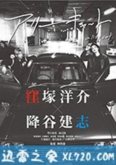 野良猫 アリーキャット (2017) [迅雷BT磁力免费下载]
