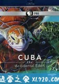 古巴：意外的伊甸园 Nature Cuba: The Accidental Eden (2010) [迅雷BT磁力免费下载]