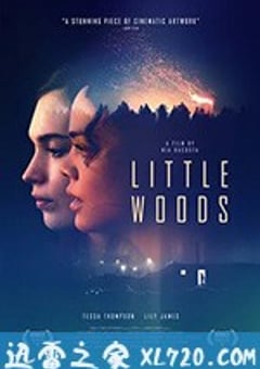 小森林 Little Woods (2018) [迅雷BT磁力免费下载]