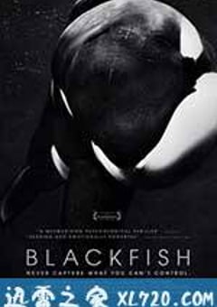 黑鲸 Blackfish (2013) [迅雷BT磁力免费下载]