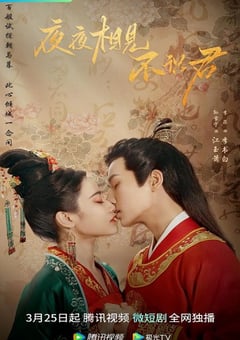 2023年国产大陆电视剧《夜夜相见不识君》全24集 [迅雷BT磁力免费下载]