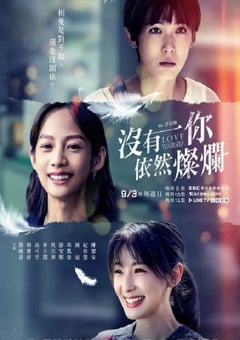 2023年中国台湾电视剧《没有你依然灿烂》全24集 [迅雷BT磁力免费下载]
