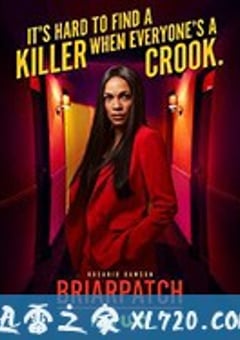 荆棘 Briarpatch (2020) [迅雷BT磁力免费下载]