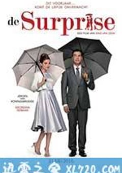 意外制造公司 De Surprise (2015) [迅雷BT磁力免费下载]