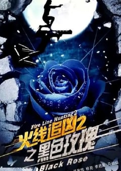 2013年国产经典动作片《火线追凶2之黑色玫瑰》HD国语中字 [迅雷BT磁力免费下载]
