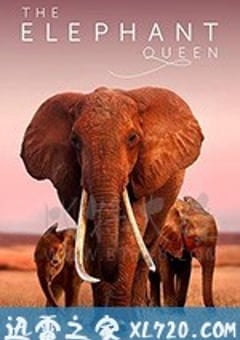 大象女王 The Elephant Queen (2018) [迅雷BT磁力免费下载]