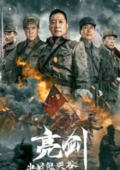 2022年国产动作战争片《亮剑：决战鬼哭谷》HD国语中字 [迅雷BT磁力免费下载]