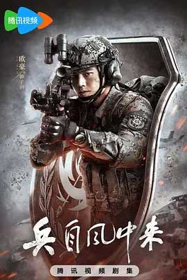 兵自风中来-2160P全集中文字幕 4K网盘迅雷下载