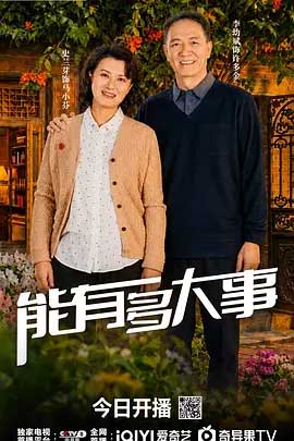 能有多大事-2160P全集中文字幕 4K网盘迅雷下载