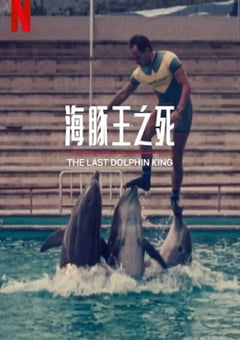 2022年西班牙记录片《海豚王之死》BD西班牙语中字 [迅雷BT磁力免费下载]