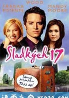 十七岁初体验 Try Seventeen (2002) [迅雷BT磁力免费下载]