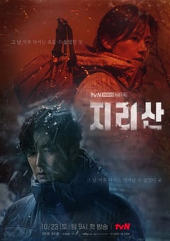 2021年韩国电视剧《智异山》全16集 [迅雷BT磁力免费下载]