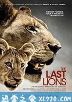 最后的狮子 The Last Lions (2011) [迅雷BT磁力免费下载]