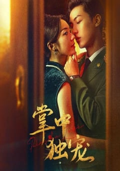2024年国产大陆短剧《掌中独宠》全24集 [迅雷BT磁力免费下载]