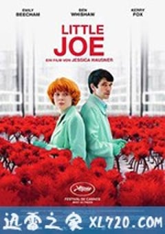 小小乔 Little Joe (2019) [迅雷BT磁力免费下载]