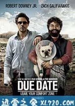 预产期 Due Date (2010) [迅雷BT磁力免费下载]