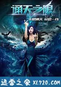 通天之眼 (2016) [迅雷BT磁力免费下载]