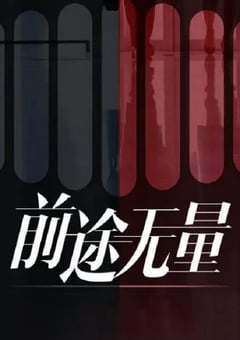 2024年国产大陆电视剧《前途无量》全26集 [迅雷BT磁力免费下载]