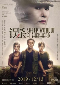 2019年国产经典悬疑犯罪片《误杀》蓝光国语中字 [迅雷BT磁力免费下载]
