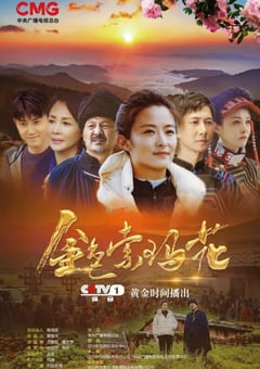 2020年国产大陆电视剧《金色索玛花》连载至20 [迅雷BT磁力免费下载]