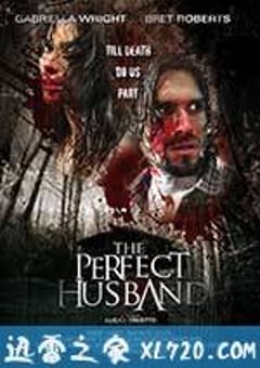 完美丈夫 The Perfect Husband (2014) [迅雷BT磁力免费下载]