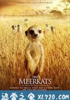 蒙哥 The Meerkats (2008) [迅雷BT磁力免费下载]