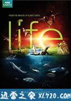 生命 Life (2009) [迅雷BT磁力免费下载]