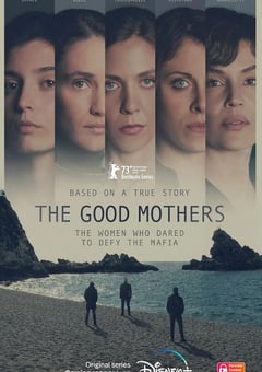 2023年意大利电视剧《好母亲》全6集 [迅雷BT磁力免费下载]
