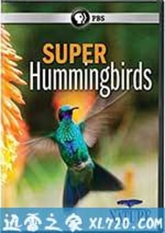 超级蜂鸟 Super Hummingbirds (2016) [迅雷BT磁力免费下载]