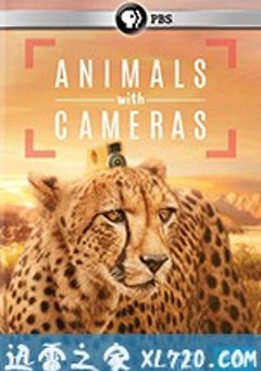 假如动物会摄影 Animals with Cameras (2018) [迅雷BT磁力免费下载]