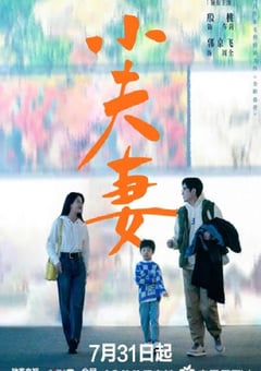 2024年国产大陆电视剧《小夫妻》连载至36 [迅雷BT磁力免费下载]