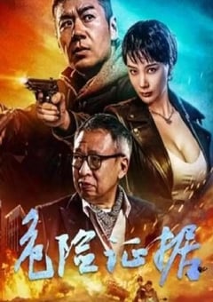 2024年国产动作片《危险证据》HD国语中字 [迅雷BT磁力免费下载]