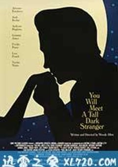 遭遇陌生人 You Will Meet A Tall Dark Stranger (2010) [迅雷BT磁力免费下载]