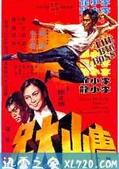 唐山大兄 (1971) [迅雷BT磁力免费下载]