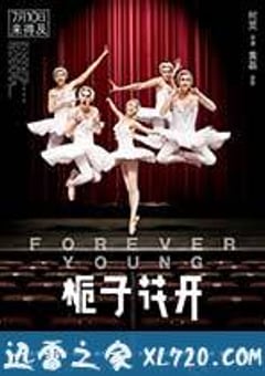 栀子花开 (2015) [迅雷BT磁力免费下载]