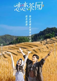 2024年国产大陆短剧《恋恋茶园》全24集 [迅雷BT磁力免费下载]