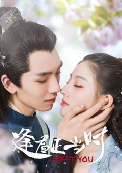 2021年国产大陆电视剧《逢君正当时》全12集 [迅雷BT磁力免费下载]
