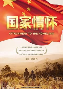 2022年国产大陆电视剧《国家情怀》全29集 [迅雷BT磁力免费下载]