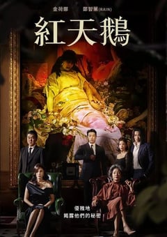 2024年韩国电视剧《红天鹅》全10集 [迅雷BT磁力免费下载]