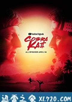 眼镜蛇 第二季 Cobra Kai Season 2 (2019) [迅雷BT磁力免费下载]