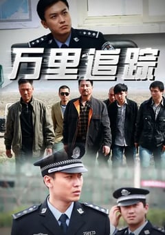 2021年国产大陆电视剧《万里追踪》全21集 [迅雷BT磁力免费下载]