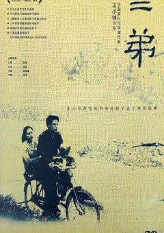 2003年国产经典剧情片《二弟》HD国语中字 [迅雷BT磁力免费下载]