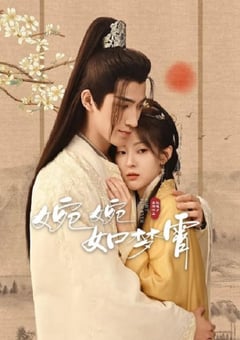 2024年国产大陆短剧《婉婉如梦霄》全28集 [迅雷BT磁力免费下载]