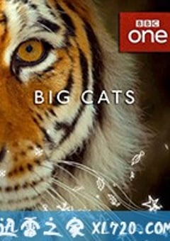 大猫 Big Cats (2018) [迅雷BT磁力免费下载]